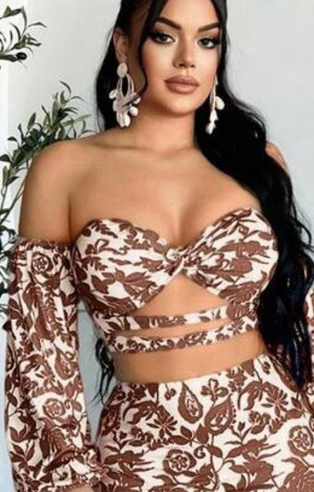 Brown & White Top